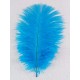 PLUMA AVESTRUZ varios colores